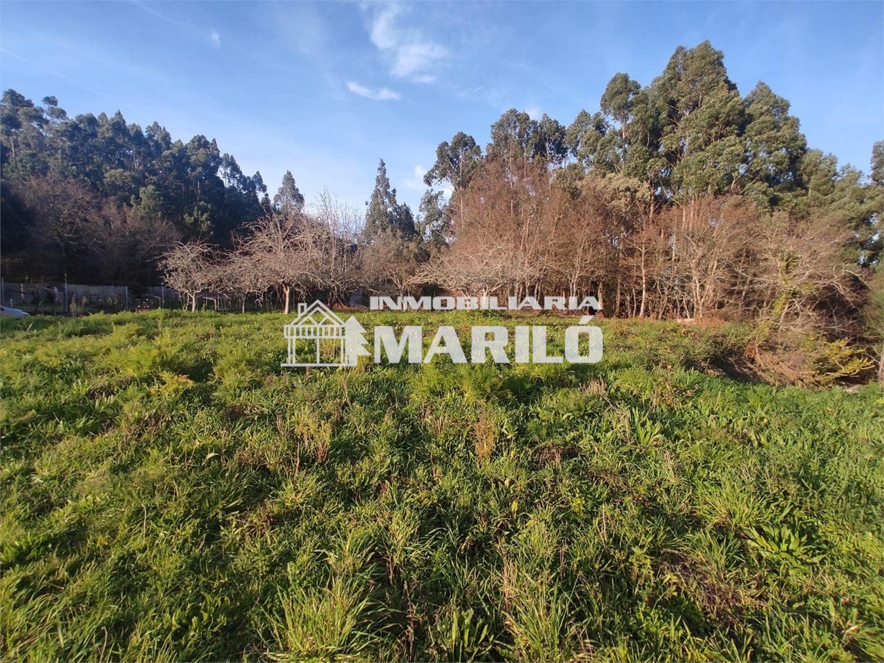 Foto 7 VENTA CASA RUSTICA PARA REFORMAR