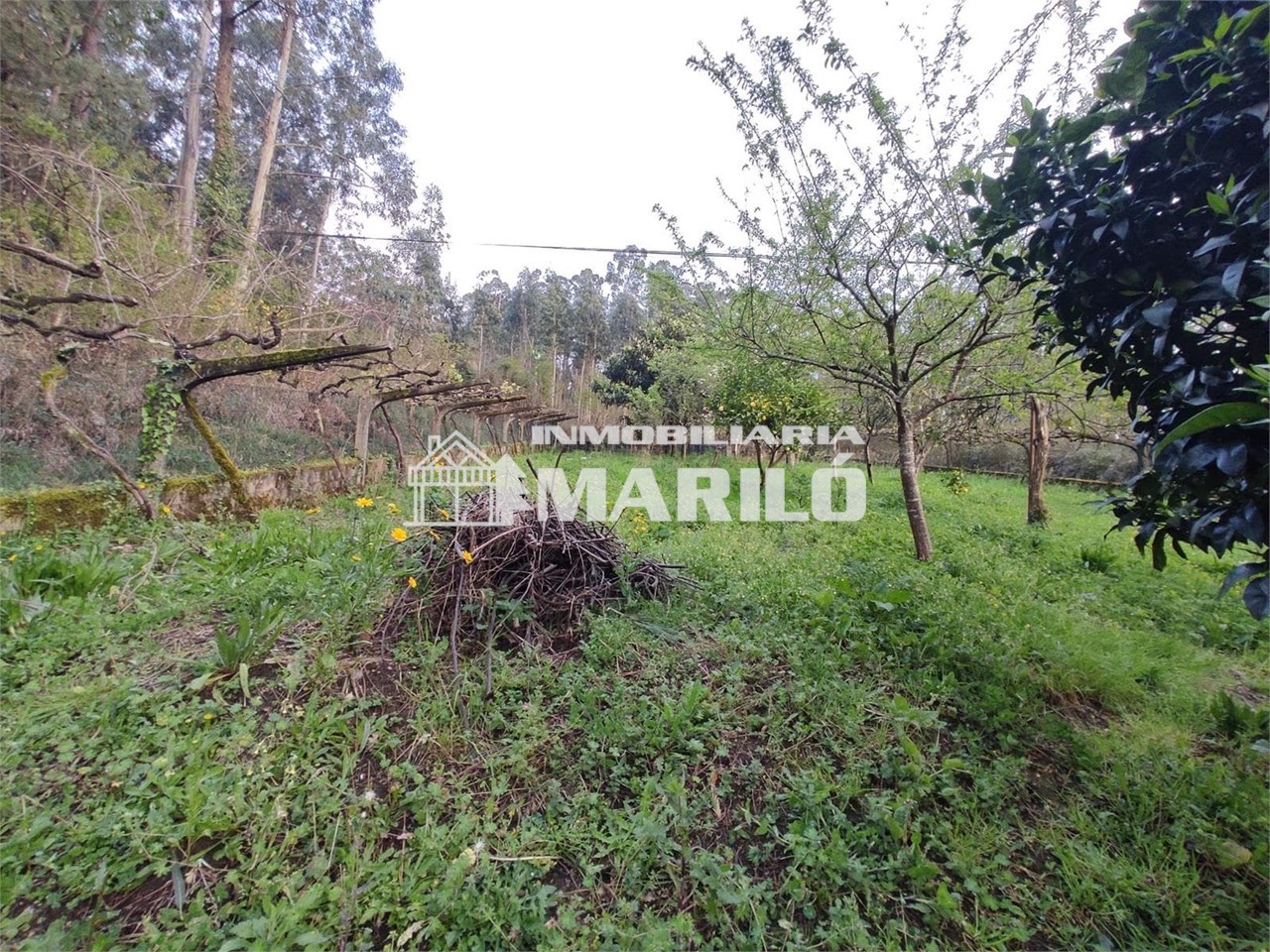 Foto 3 VENTA DE TERRENO CON BAJO CON POSIBILIDAD DE VIVIENDA