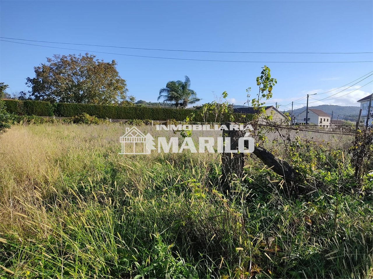 Foto 4 VENTA DE TERRENO EN VILANOVA