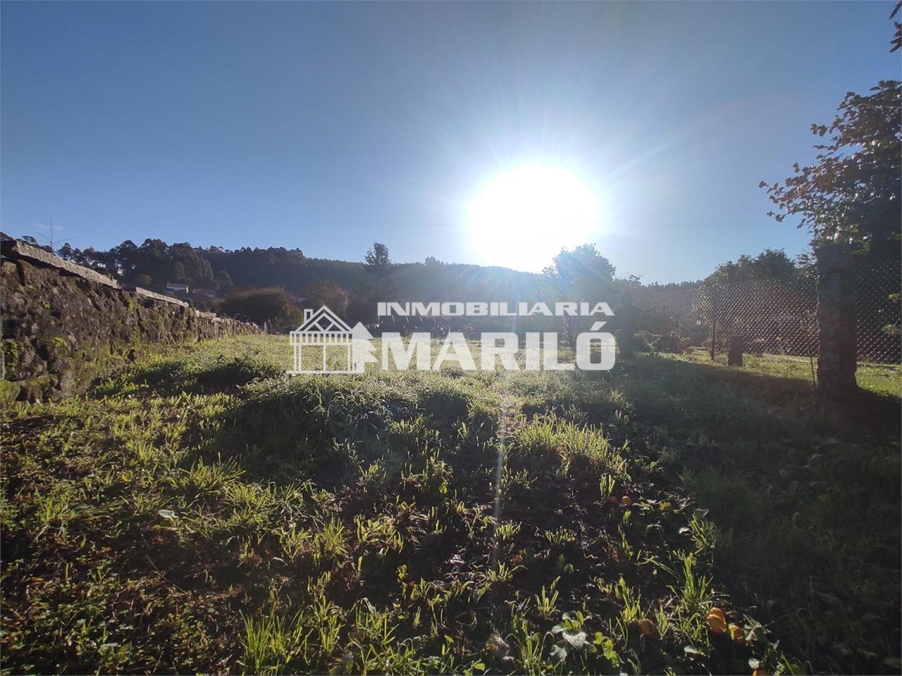 Foto 2 VENTA ESTUPENDO TERRENO EDIFICABLE 