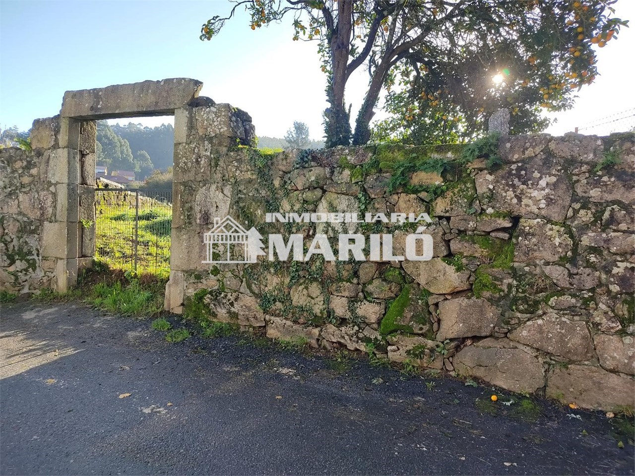 Foto 4 VENTA ESTUPENDO TERRENO EDIFICABLE 