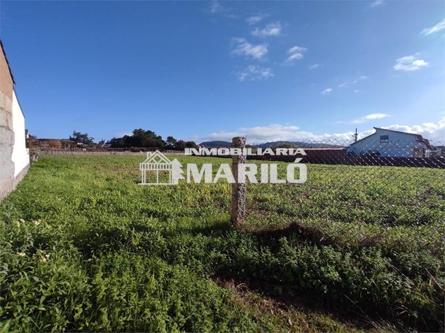 VENTA ESTUPENDO TERRENO EN VILANOVA - Vilanova de Arousa