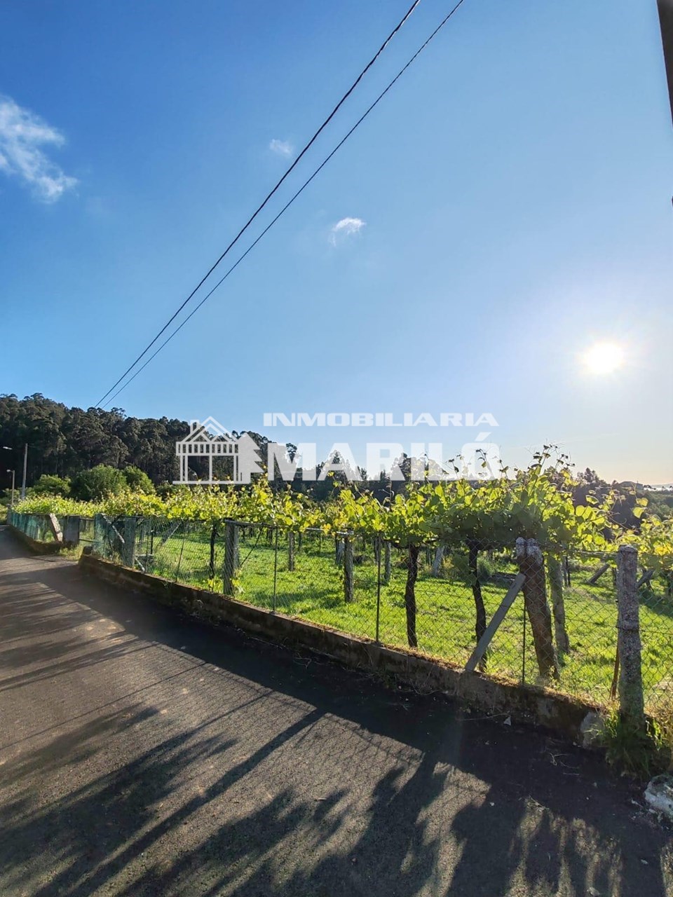 Foto 1 VENTA TERRENO EDIFICABLE EN MEIS