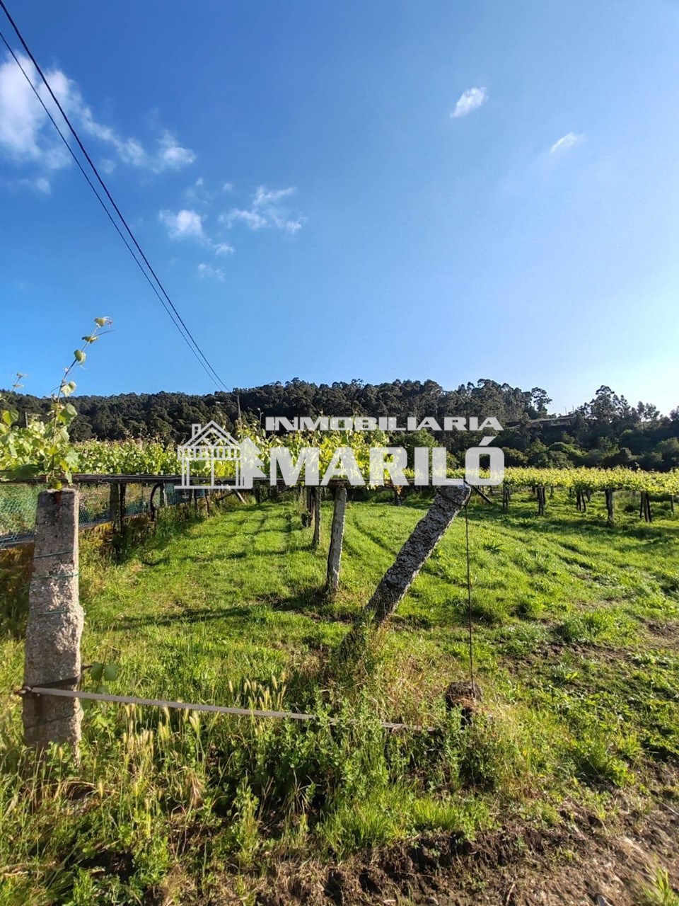 Foto 2 VENTA TERRENO EDIFICABLE EN MEIS