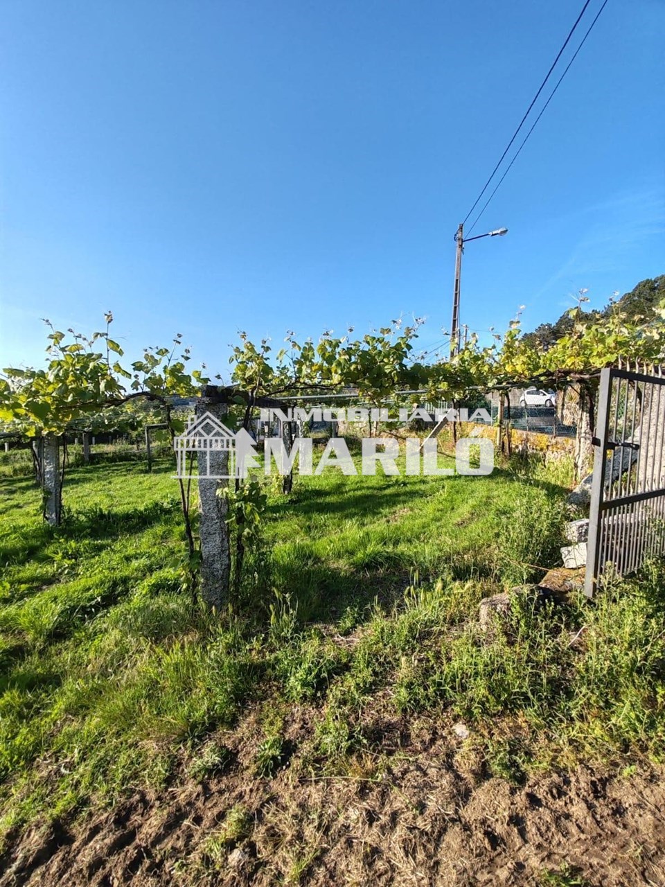 Foto 3 VENTA TERRENO EDIFICABLE EN MEIS