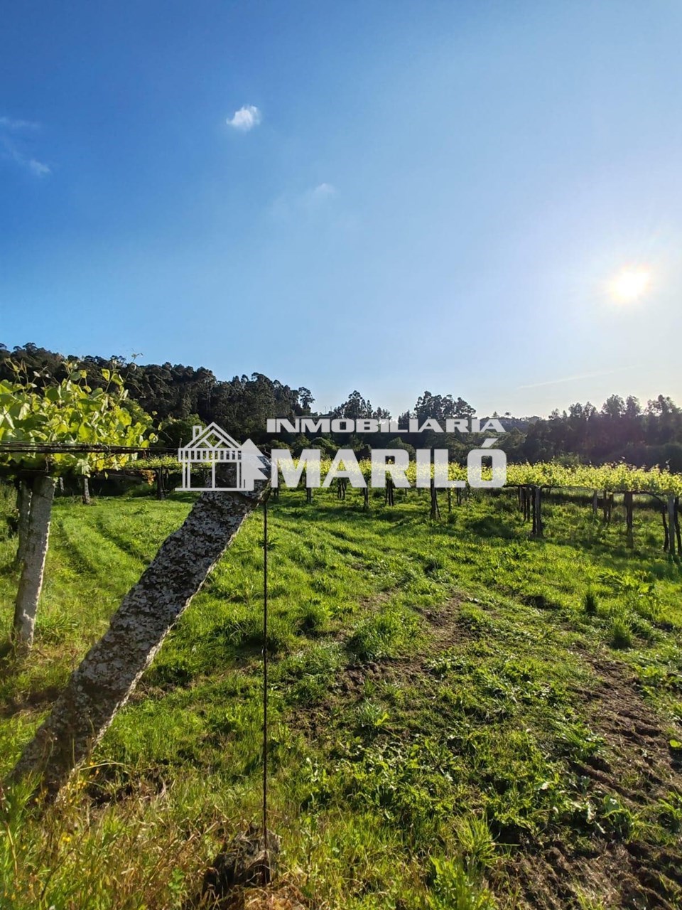 Foto 5 VENTA TERRENO EDIFICABLE EN MEIS