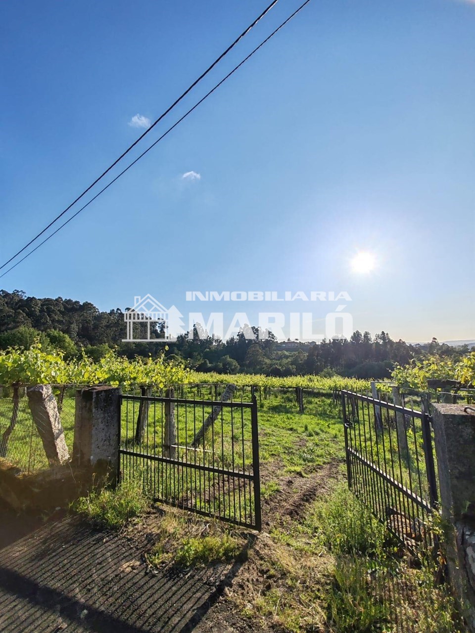 Foto 6 VENTA TERRENO EDIFICABLE EN MEIS