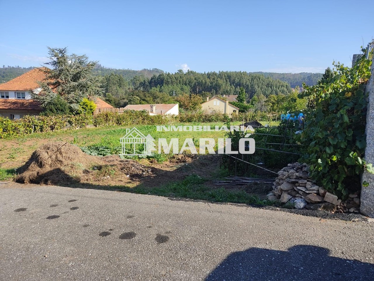 Foto 2 VENTA TERRENO  EDIFICABLE 