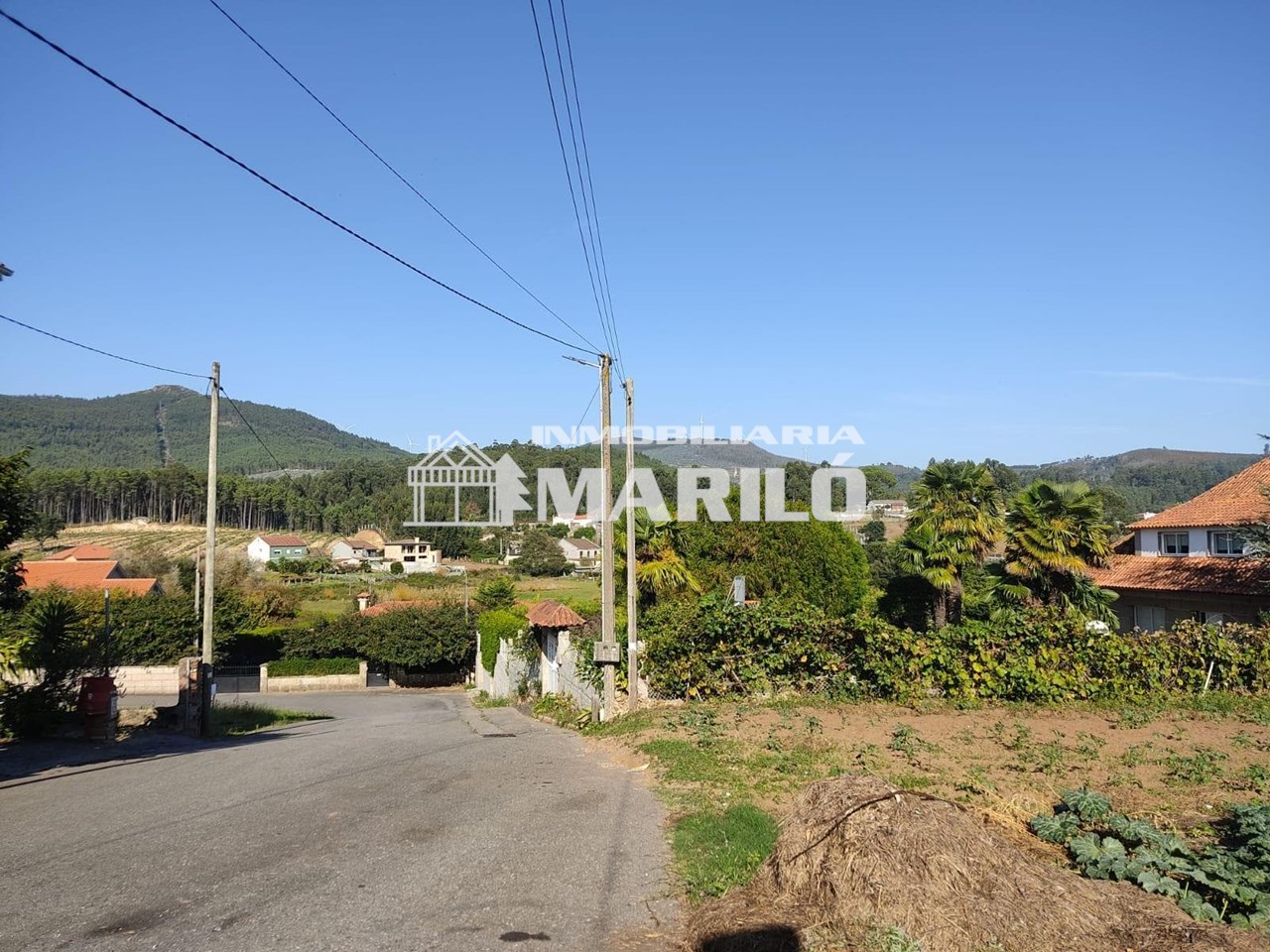 Foto 5 VENTA TERRENO  EDIFICABLE 