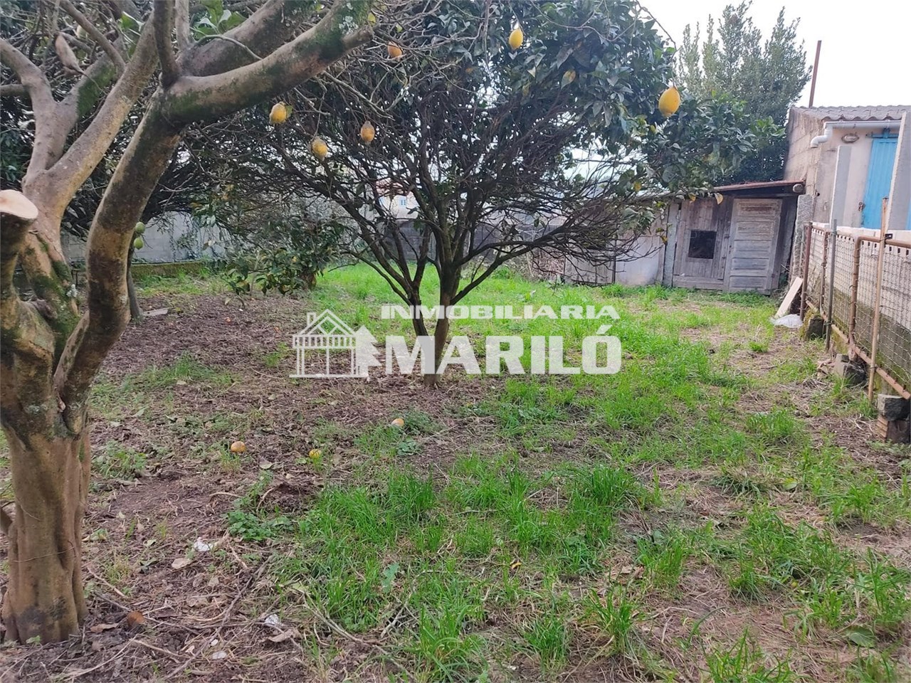 Foto 4 VENTA TERRENO EDIFICABLE 