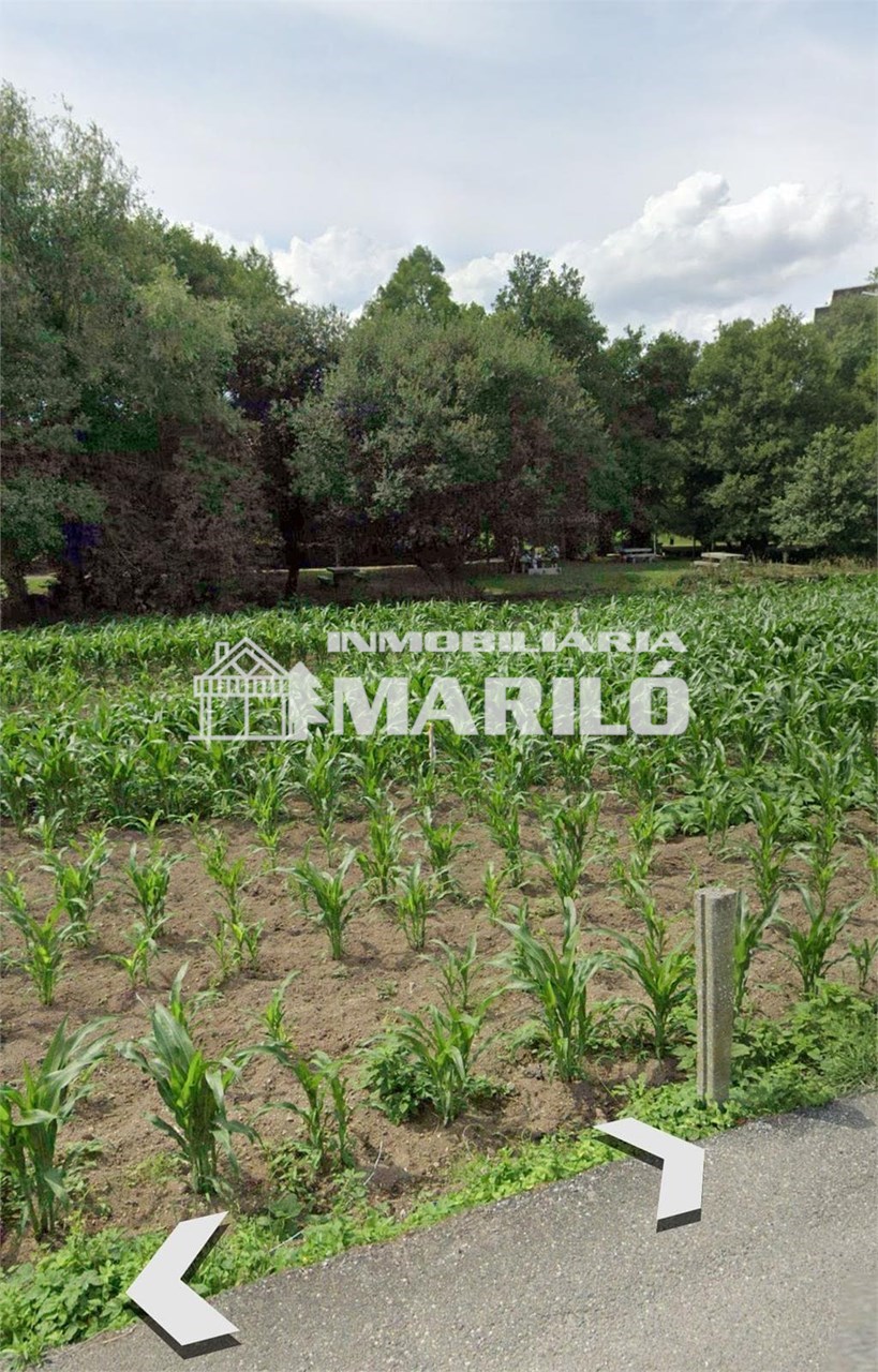 Foto 1 VENTA TERRENO EDIFICABLE 