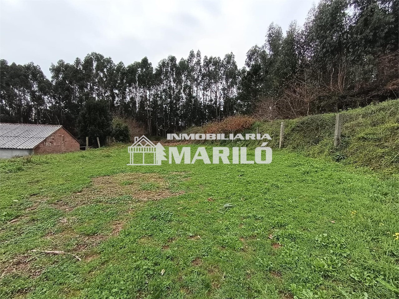 Foto 2 VENTA TERRENO EDIFICABLE