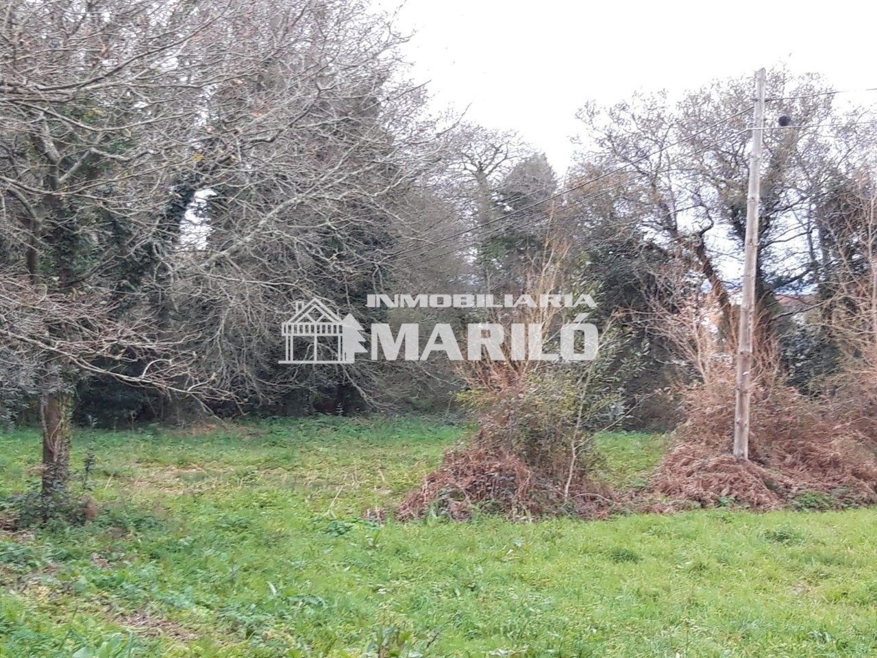 Foto 2 VENTA TERRENO EDIFICABLE