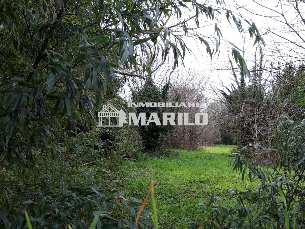 Foto 4 VENTA TERRENO EDIFICABLE