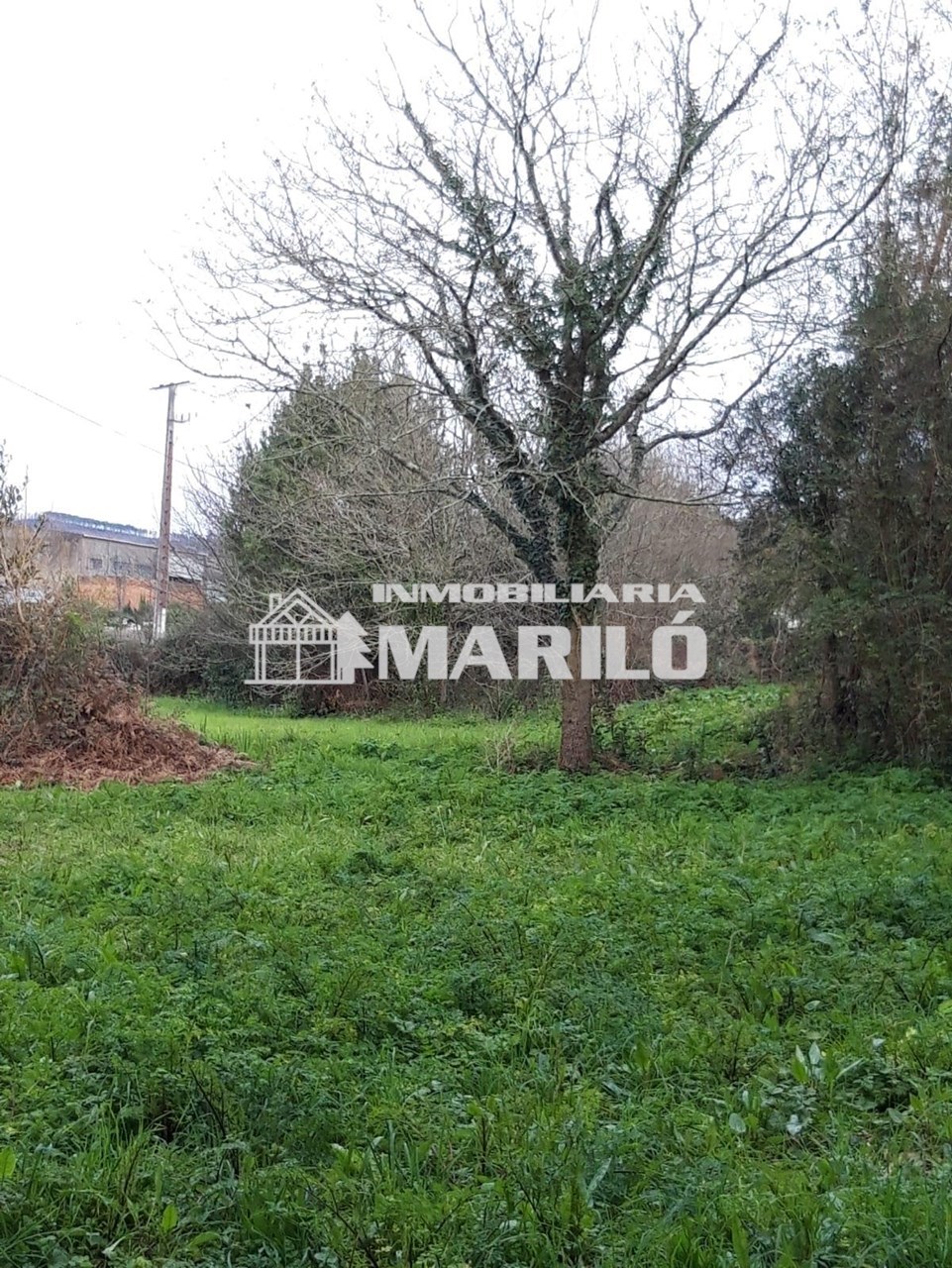 Foto 5 VENTA TERRENO EDIFICABLE