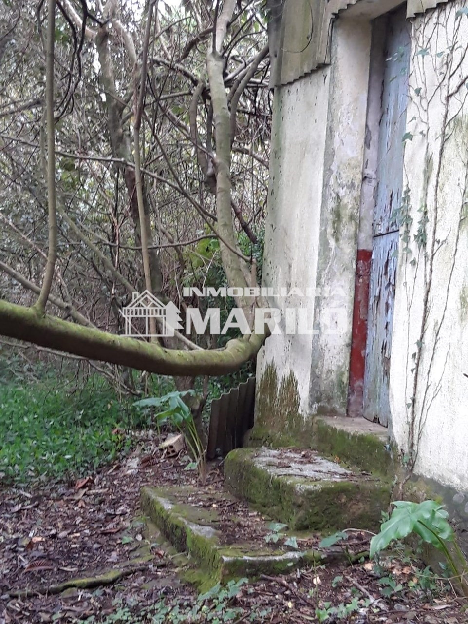 Foto 6 VENTA TERRENO EDIFICABLE