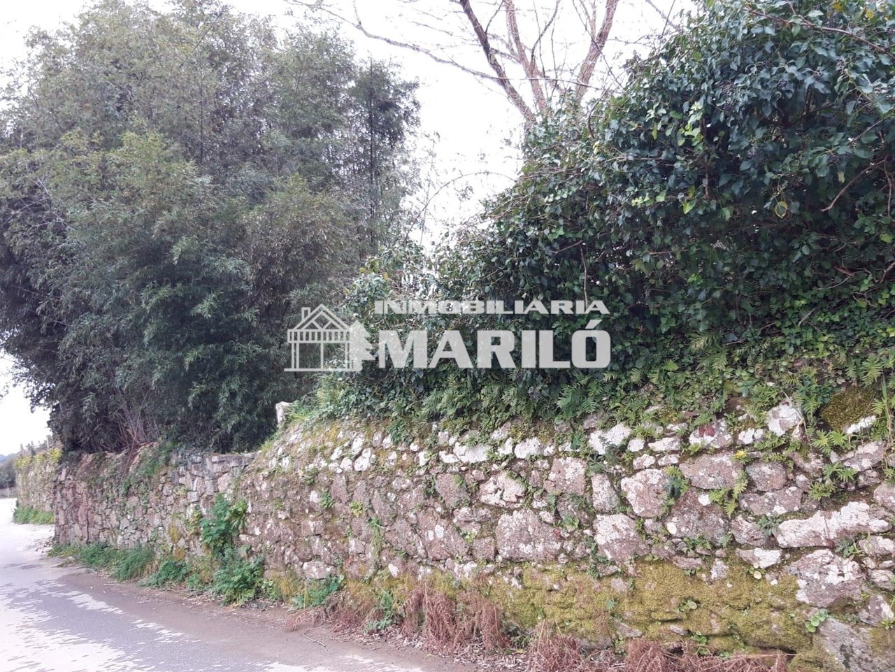 Foto 9 VENTA TERRENO EDIFICABLE