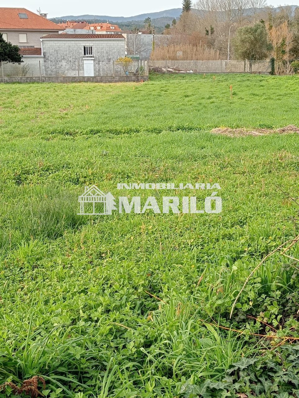 Foto 2 VENTA TERRENO RUSTICO