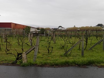 VENTA TERRENO - Vilanova de Arousa